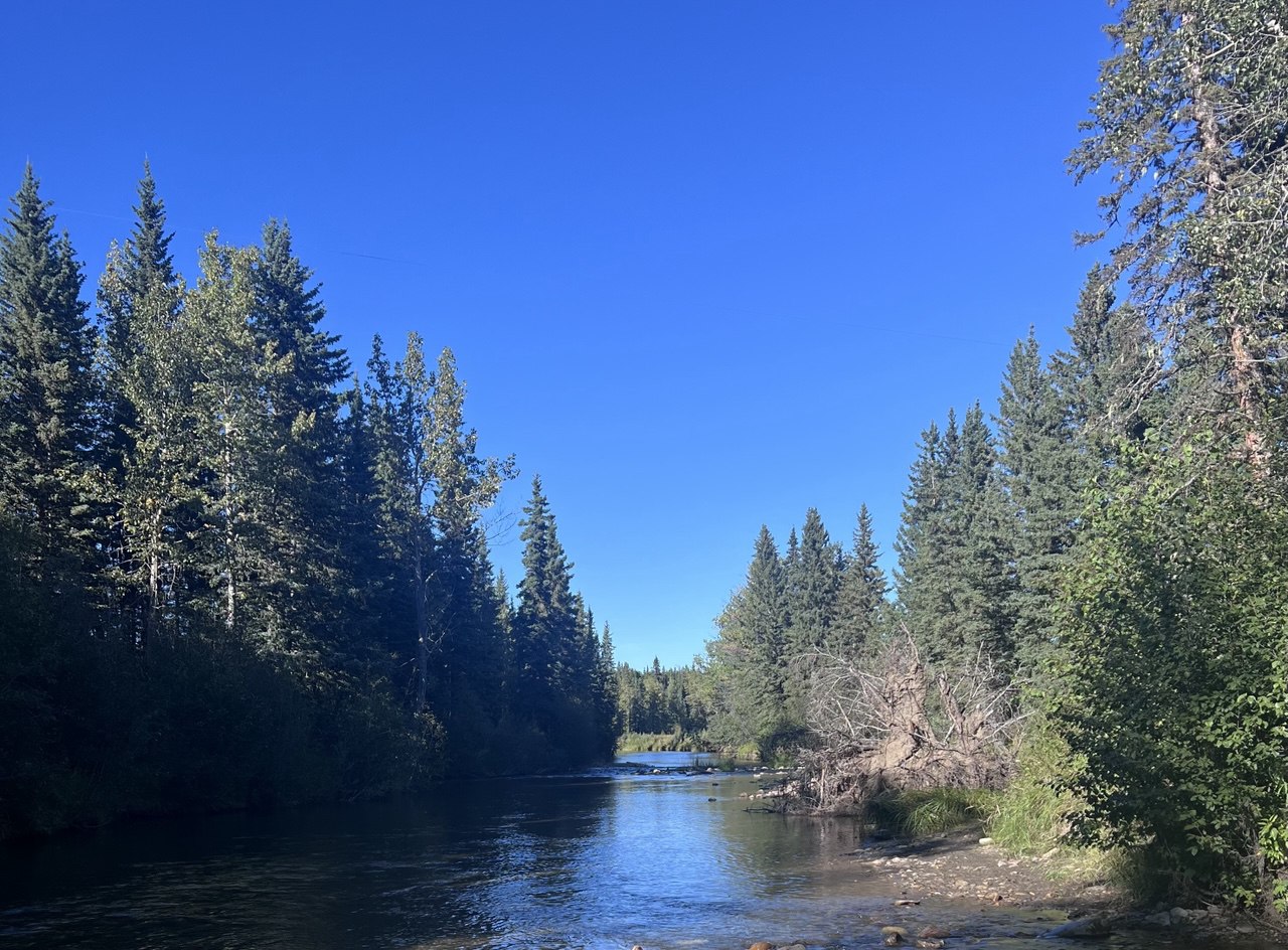 2. Selling Rural Property in the foothills northwest of Calgary - The River Corridors