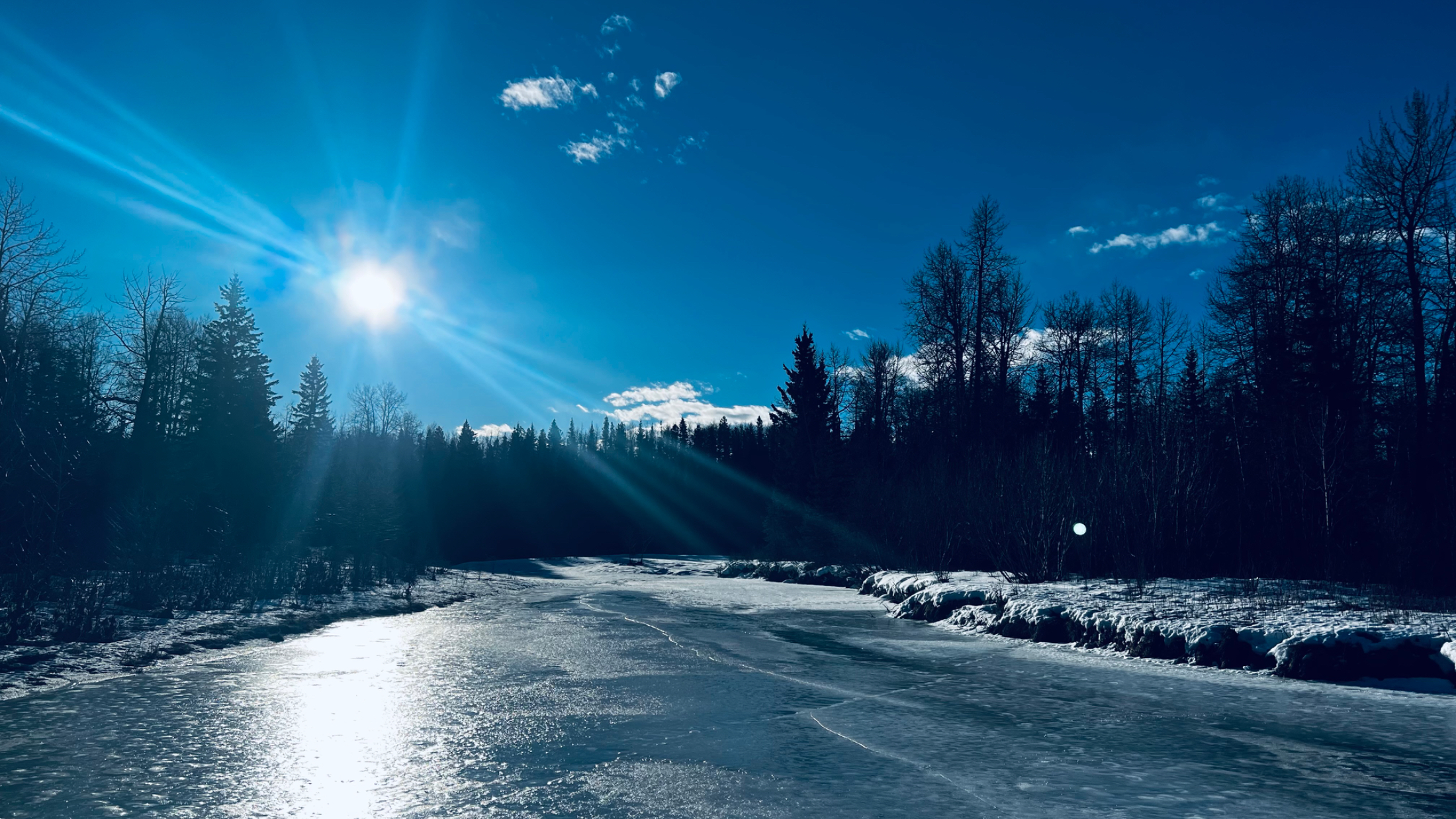 Reflections from the Banks of Fallen Timber Creek