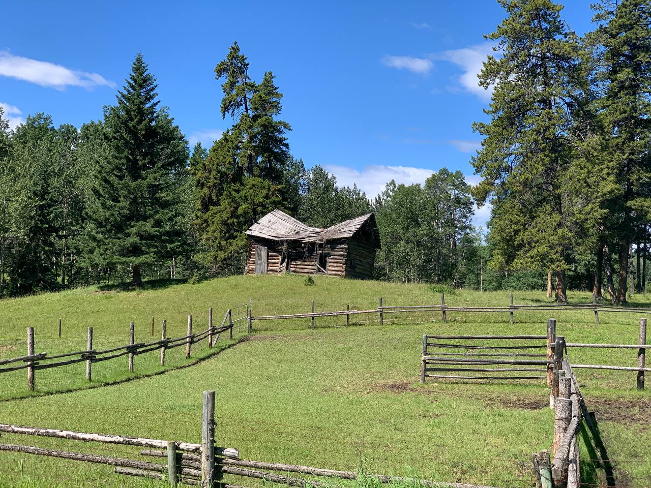 Myth-Busting Acreage Life: Living in the Foothills NW of Calgary. (Part 2)